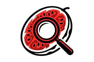 笔盒网站最新地址 - 吃瓜社Logo